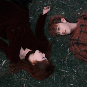 免费高清特级毛片
