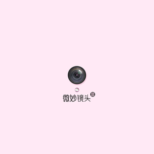 免费高清特级毛片
