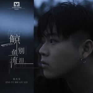 免费高清特级毛片
